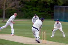 453135_IMG_3770