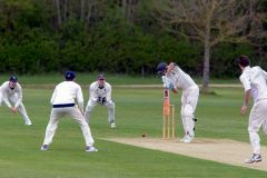 453137_IMG_3784