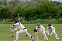 453141_IMG_3902_copy