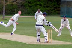 453142_IMG_3779