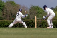 454626_IMG_4481_copy