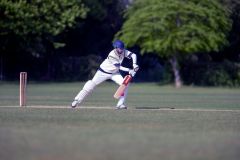 3rd XI v Westbury 11 May 2019